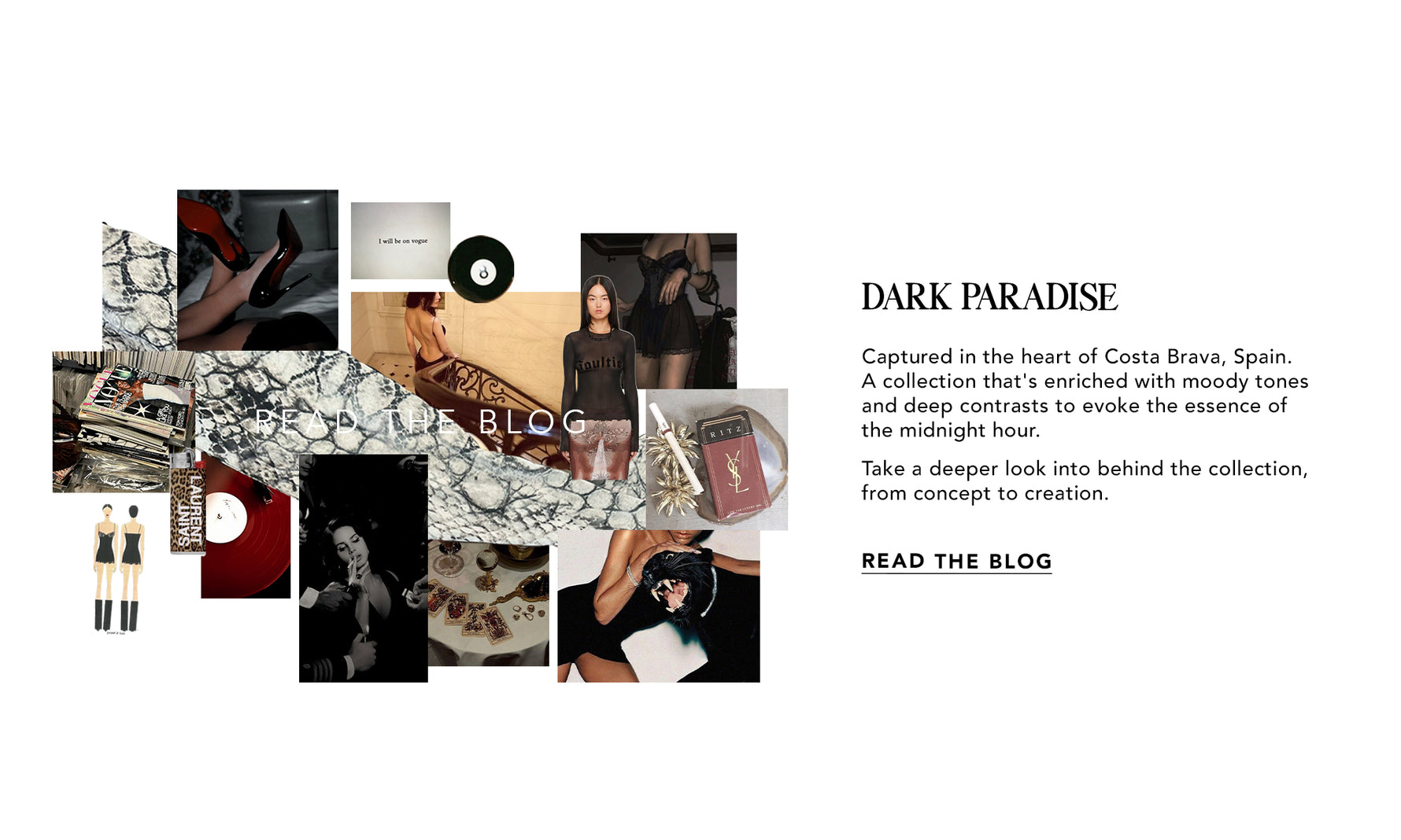 Dark Paradise