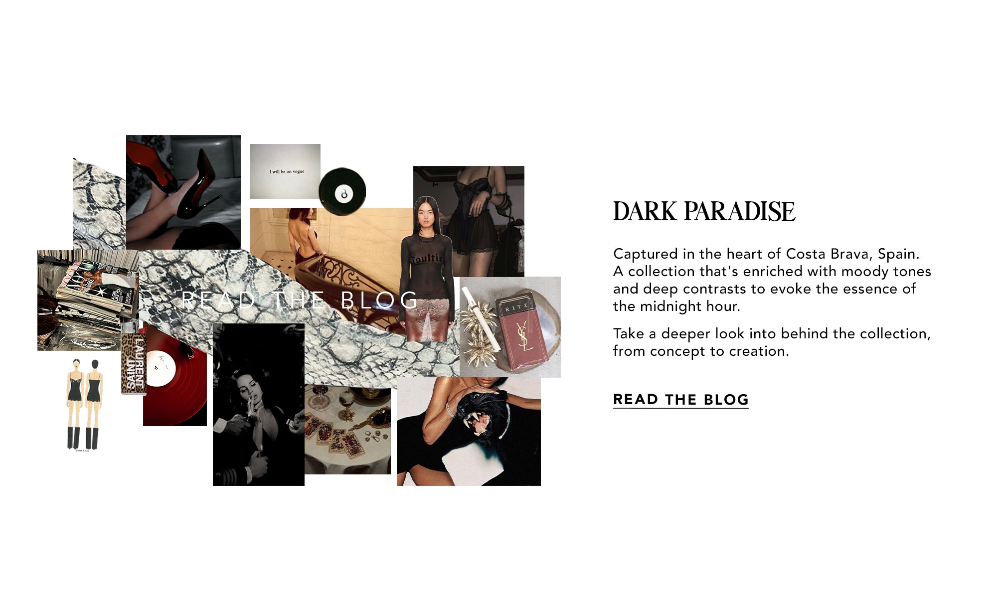 Dark Paradise
